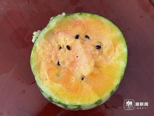 颜色的吃瓜,探寻吃瓜中的缤纷世界