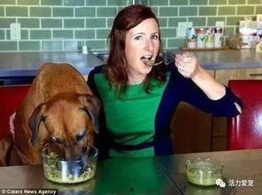 带你吃瓜狗蛋奇葩手办,带你领略“带你吃瓜狗蛋奇葩手办”的独特魅力