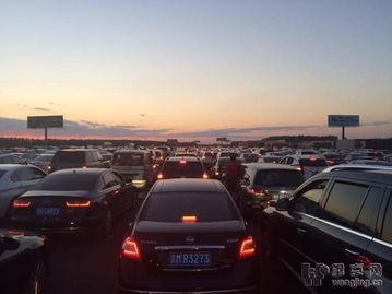 堵车吃大瓜,见证街头“大瓜”风云