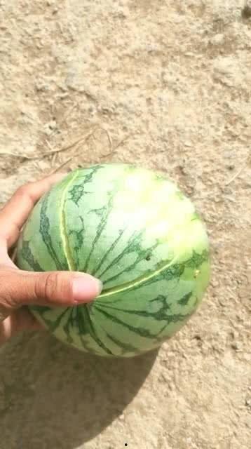 虹桥吃瓜捡东西,吃瓜捡宝，揭秘都市里的意外惊喜